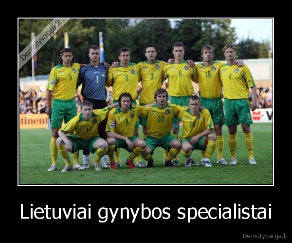 Lietuviai gynybos specialistai