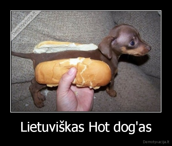 Lietuviškas Hot dog'as