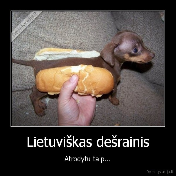 hot, dog,desrainis,lietuva,lol