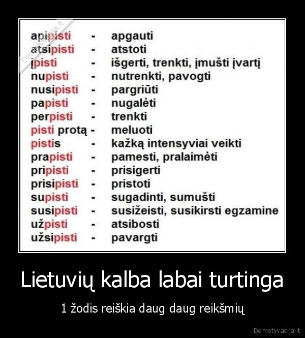 pisk,lietuviu, kalba,zodis,reiksme,turtinga