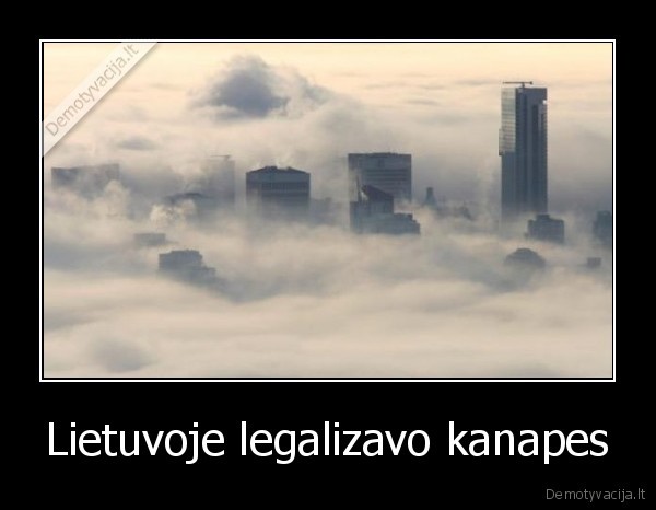 kanapes,lietuva,legalizavo,pluostines, kanapes