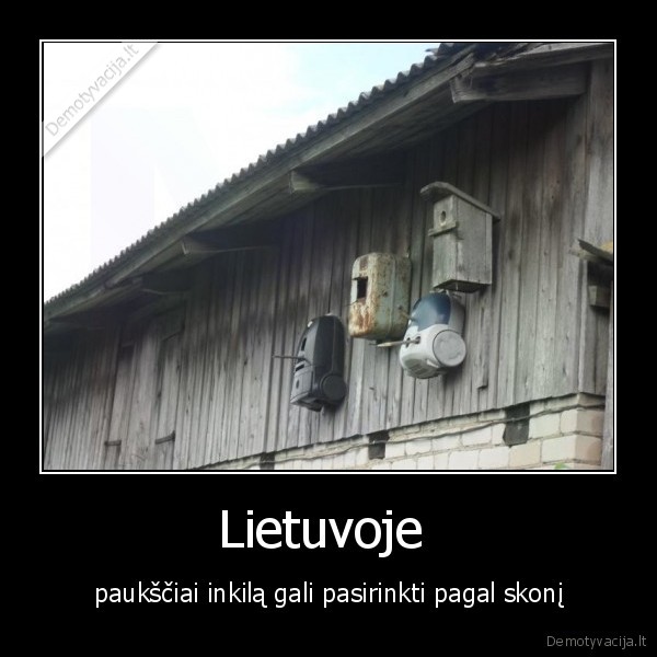 Lietuvoje 