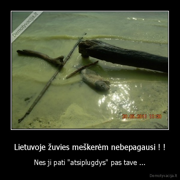 Lietuvoje žuvies meškerėm nebepagausi ! !