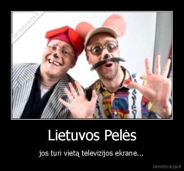 televizija