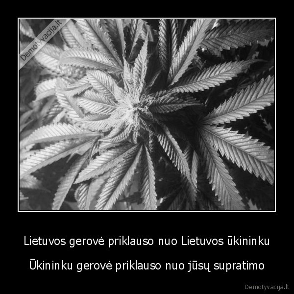 legalize, it