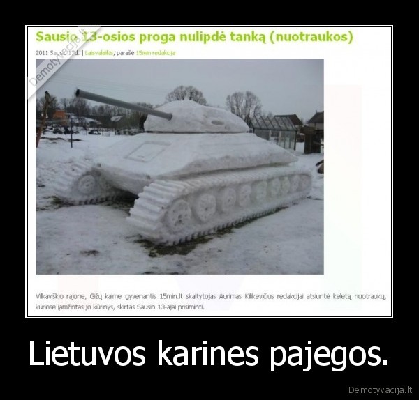 Lietuvos karines pajegos.