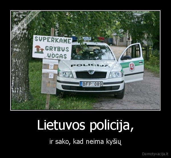 policija,grybai, ir, uogos