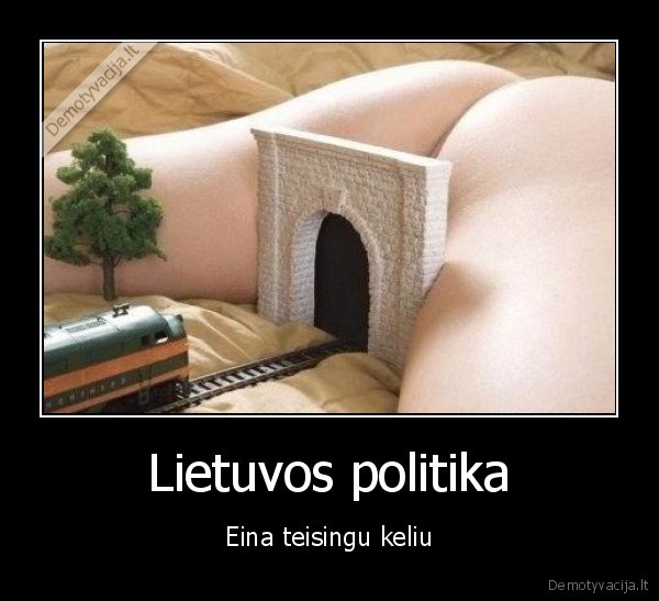 lietuvos,politika