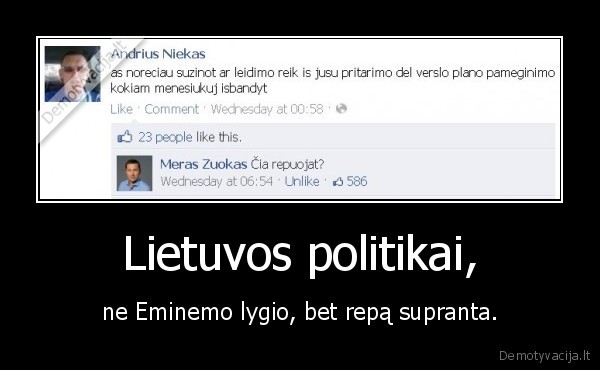 Lietuvos politikai,