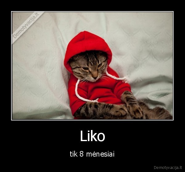 Liko