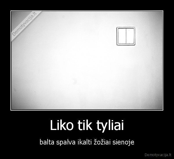 Liko tik tyliai