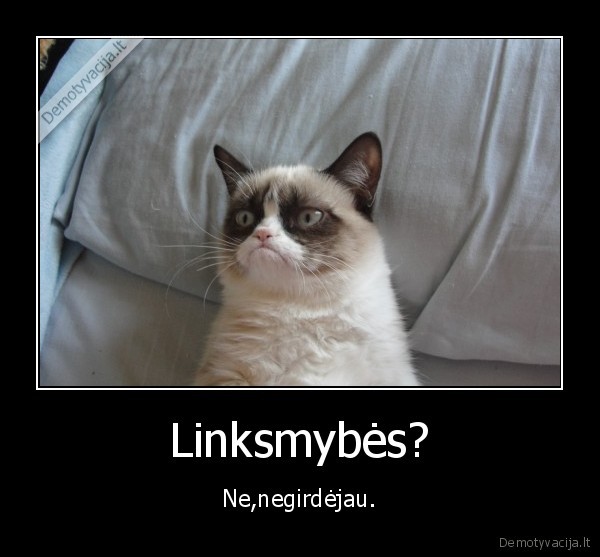 Linksmybės?