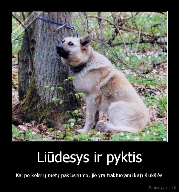 Liūdesys ir pyktis