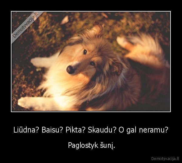 suo,liudesys,baime,pyktis,skausmas,neramumas