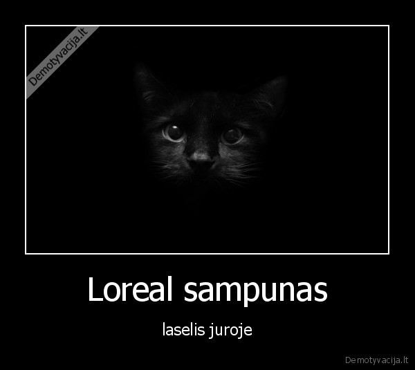 Loreal sampunas