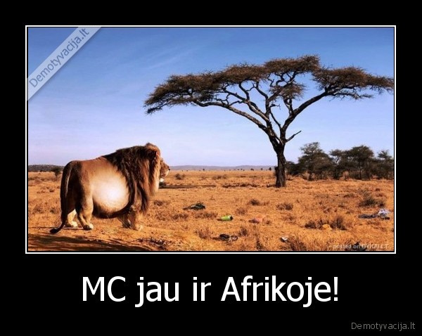 MC jau ir Afrikoje!