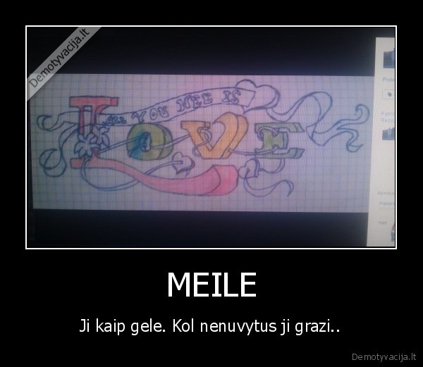 MEILE