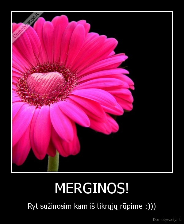 MERGINOS!