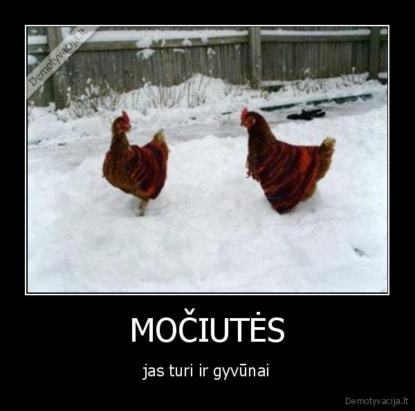 MOČIUTĖS