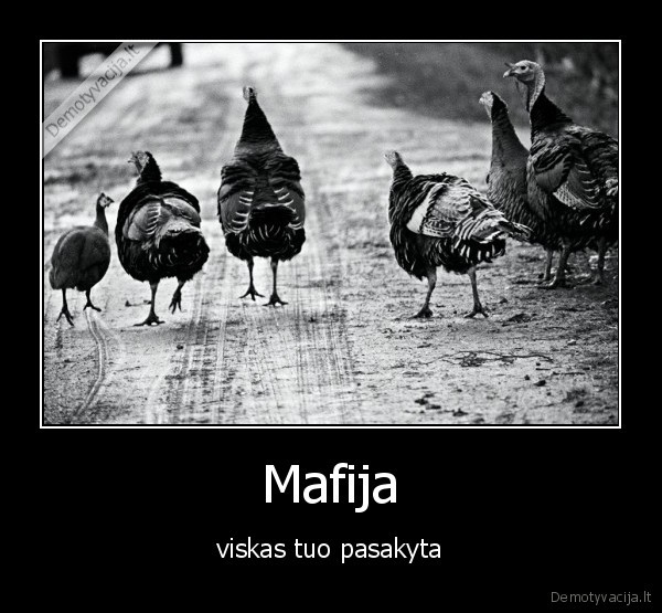 mafija