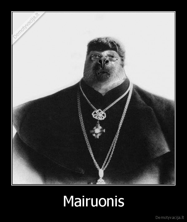 maironis,ruonis