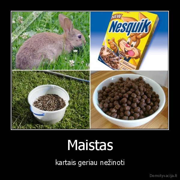 Maistas