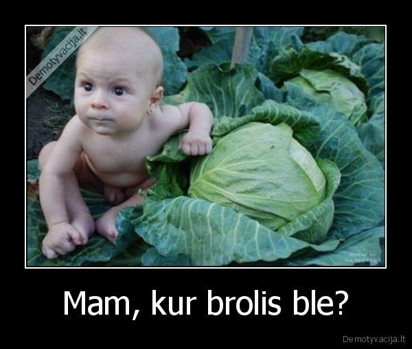 Mam, kur brolis ble?