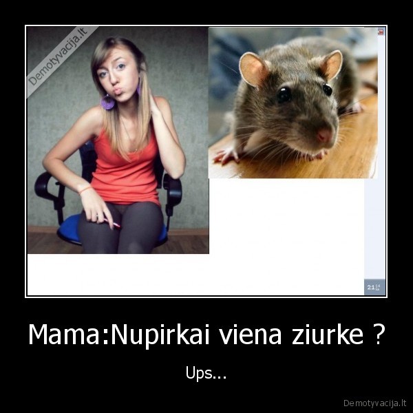 Mama:Nupirkai viena ziurke ?