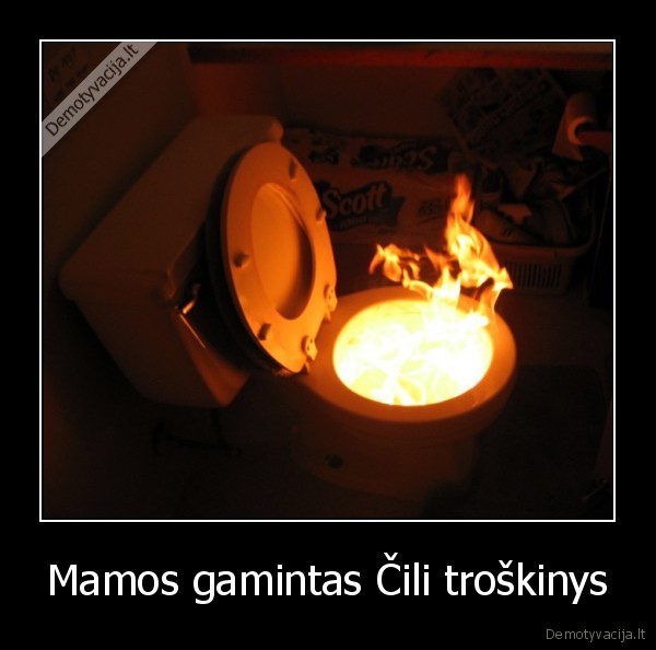 Mamos gamintas Čili troškinys