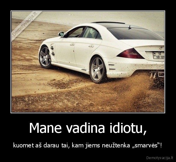 Mane vadina idiotu,