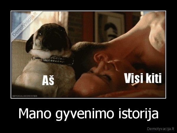 Mano gyvenimo istorija