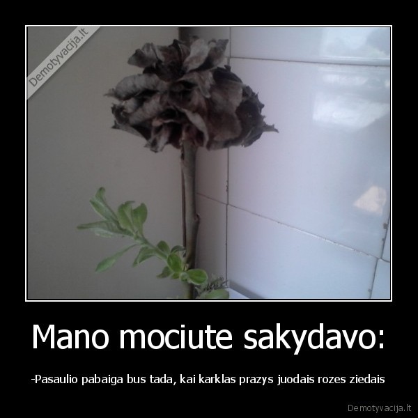 Mano mociute sakydavo: