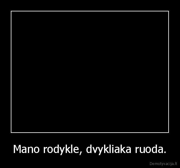 Mano rodykle, dvykliaka ruoda.