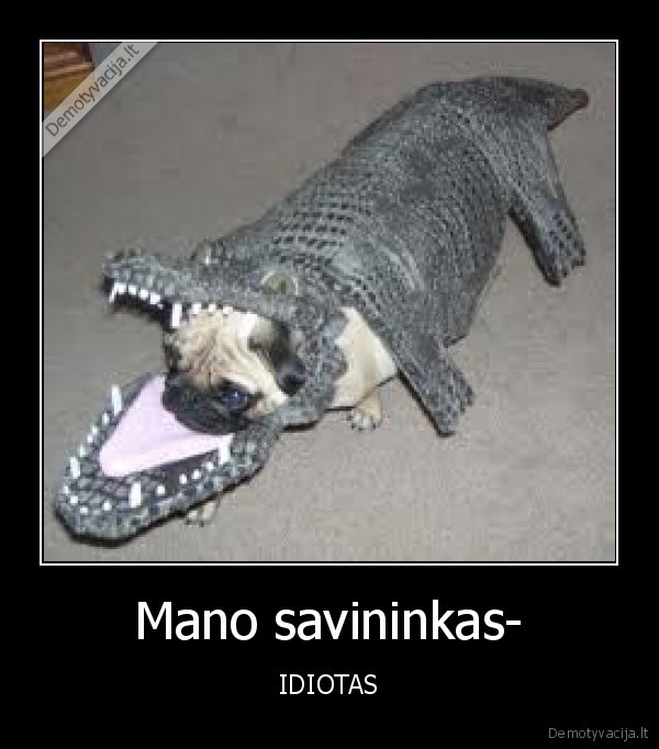 Mano savininkas-