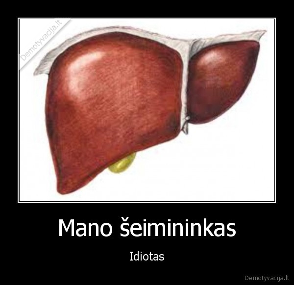 Mano šeimininkas