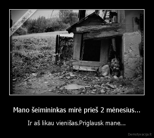 Mano šeimininkas mirė prieš 2 mėnesius...