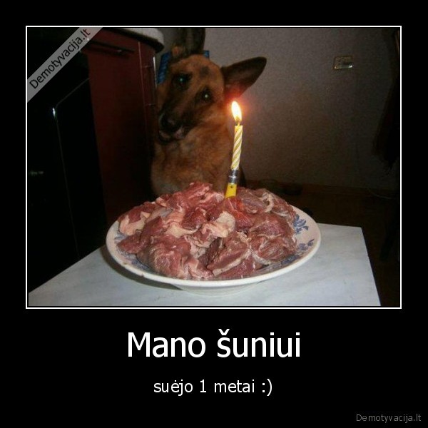 Mano šuniui