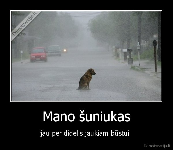 Mano šuniukas