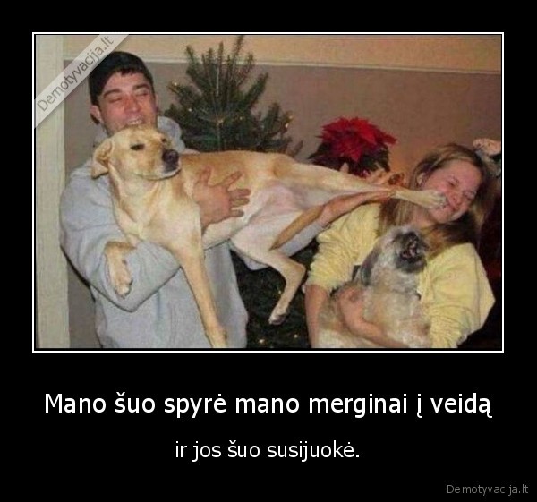 suo,mergina,spyris