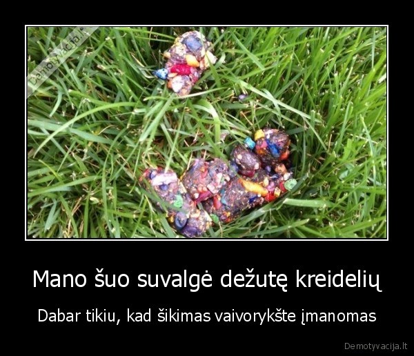 Mano šuo suvalgė dežutę kreidelių