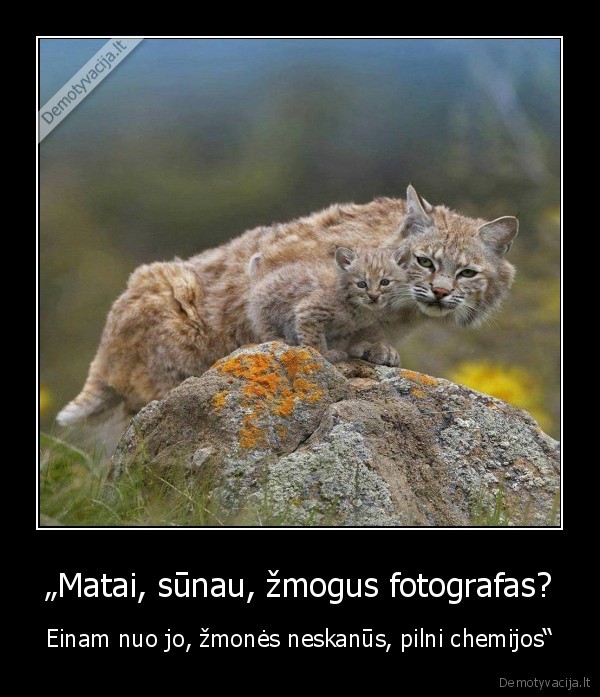 lusys,neskanus, zmogus,fotografui, pasiseke