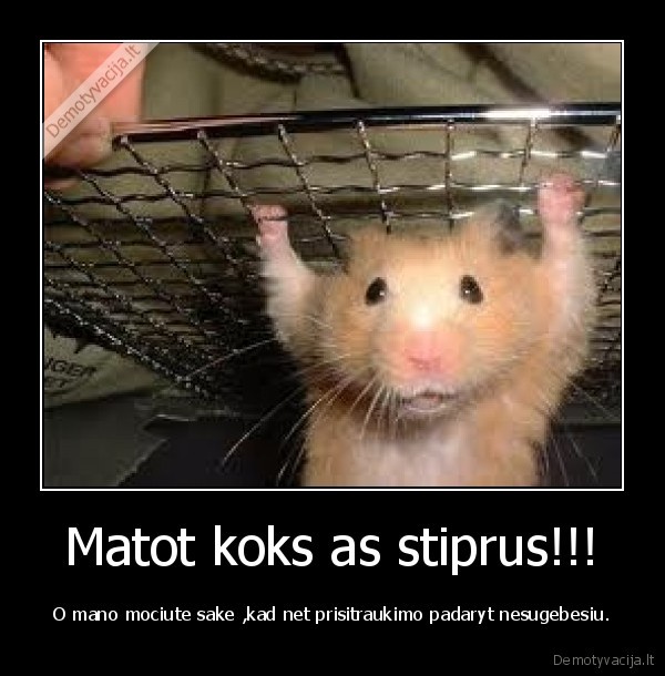 Matot koks as stiprus!!!