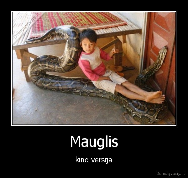 Mauglis