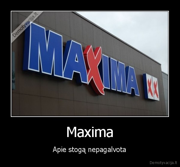 maxima,stogas,galvoti