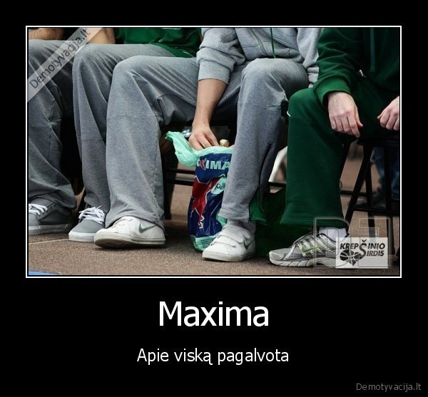 zalgiris,lkf,maxima,sportas