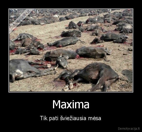 Maxima