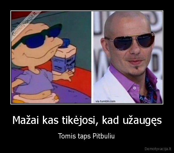 pitbulis,animacinis, filmas