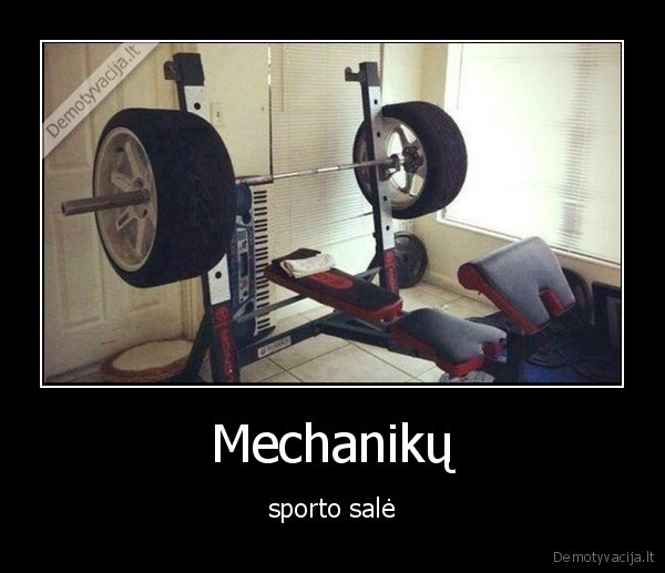 Mechanikų