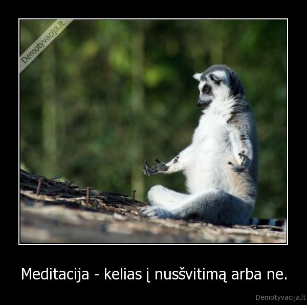 Meditacija - kelias į nusšvitimą arba ne.