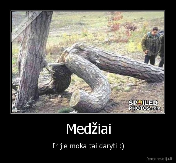 Medžiai